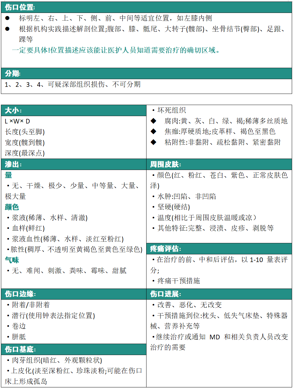压力性损伤记录