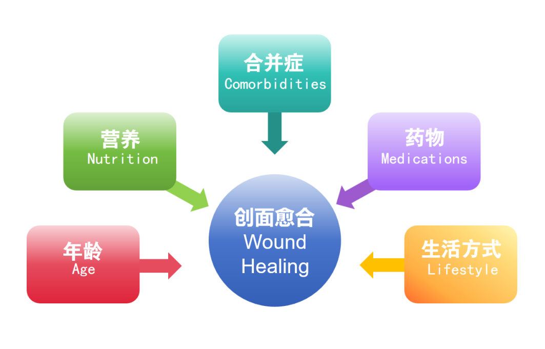 影响伤口愈合的全身因素