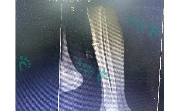 杭州博养压疮治疗中心 杭州博养压疮治疗中心