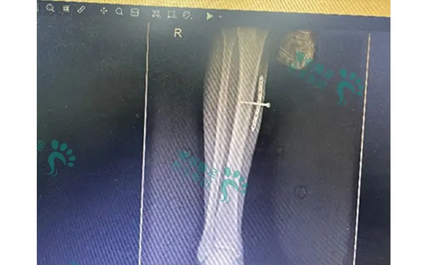 杭州博养压疮治疗中心 杭州博养压疮治疗中心