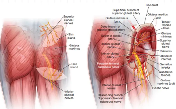 杭州博养压疮治疗中心 杭州博养压疮治疗中心