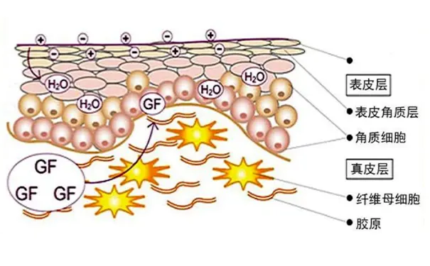 杭州博养压疮治疗中心 杭州博养压疮治疗中心