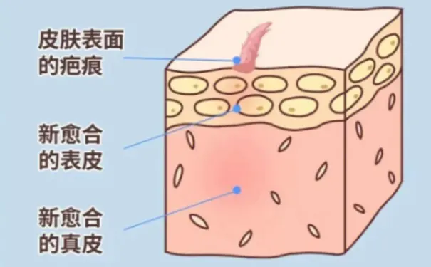 杭州博养压疮治疗中心 杭州博养压疮治疗中心