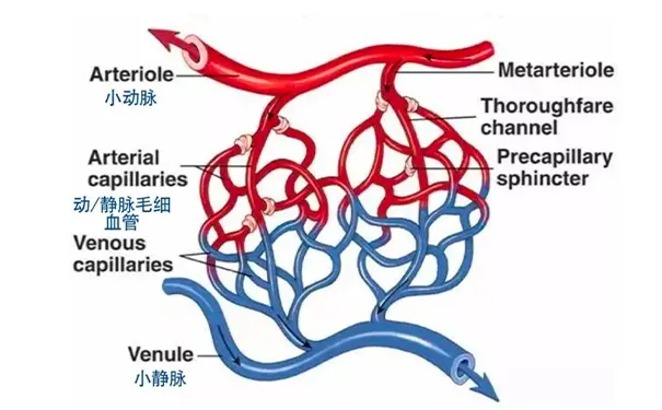 杭州博养压疮治疗中心 杭州博养压疮治疗中心