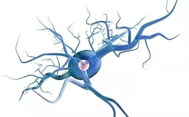 杭州博养压疮治疗中心 杭州博养压疮治疗中心