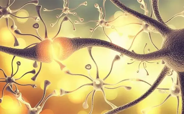 杭州博养压疮治疗中心 杭州博养压疮治疗中心