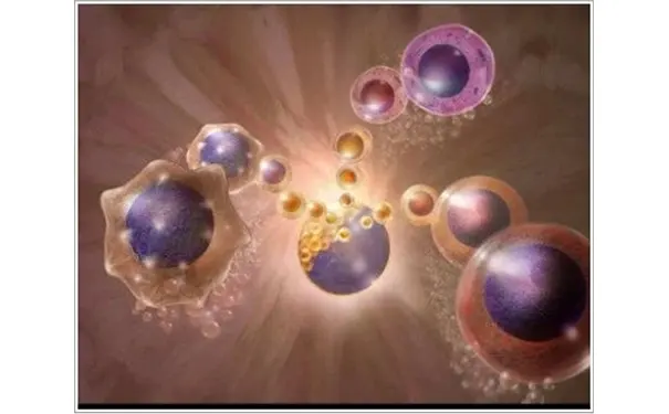 杭州博养压疮治疗中心 杭州博养压疮治疗中心