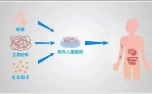 杭州博养压疮治疗中心 杭州博养压疮治疗中心