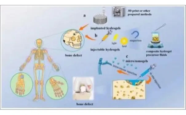 杭州博养压疮治疗中心 杭州博养压疮治疗中心