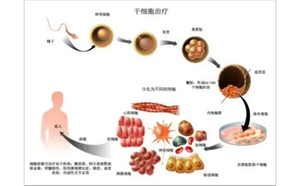 杭州博养压疮治疗中心 杭州博养压疮治疗中心