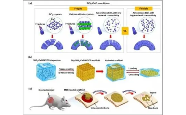 杭州博养压疮治疗中心 杭州博养压疮治疗中心