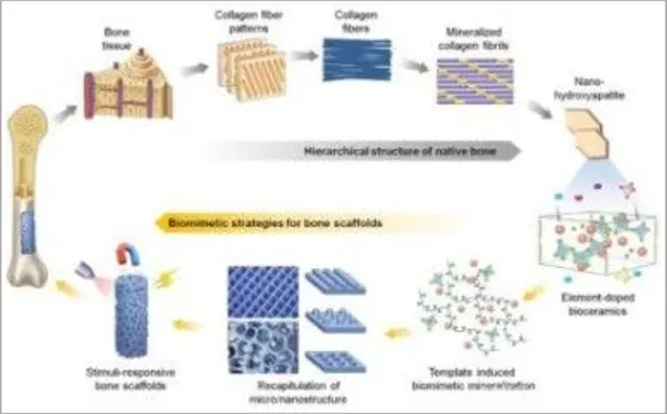 杭州博养压疮治疗中心 杭州博养压疮治疗中心