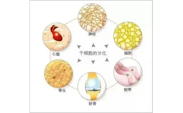 杭州博养压疮治疗中心 杭州博养压疮治疗中心