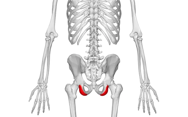 杭州博养压疮治疗中心 杭州博养压疮治疗中心