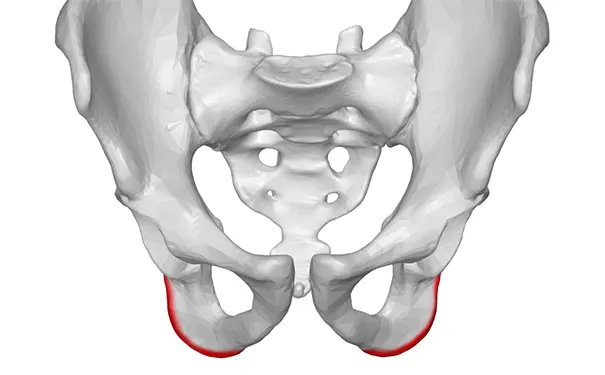 杭州博养压疮治疗中心 杭州博养压疮治疗中心