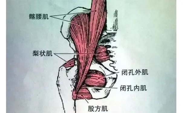 杭州博养压疮治疗中心 杭州博养压疮治疗中心