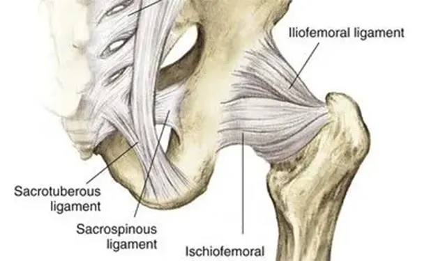 杭州博养压疮治疗中心 杭州博养压疮治疗中心