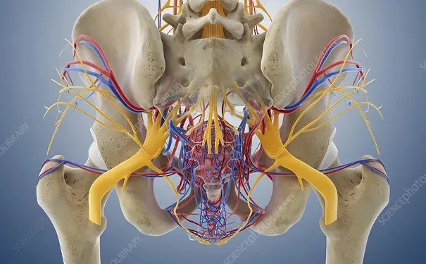 杭州博养压疮治疗中心 杭州博养压疮治疗中心