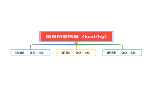 杭州博养压疮治疗中心 杭州博养压疮治疗中心