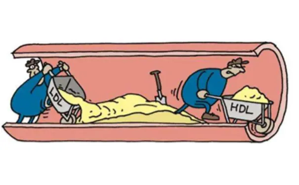 杭州博养压疮治疗中心 杭州博养压疮治疗中心