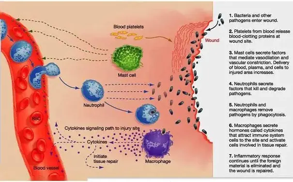 杭州博养压疮治疗中心 杭州博养压疮治疗中心