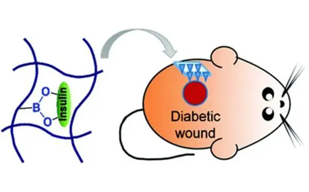 杭州博养压疮治疗中心 杭州博养压疮治疗中心