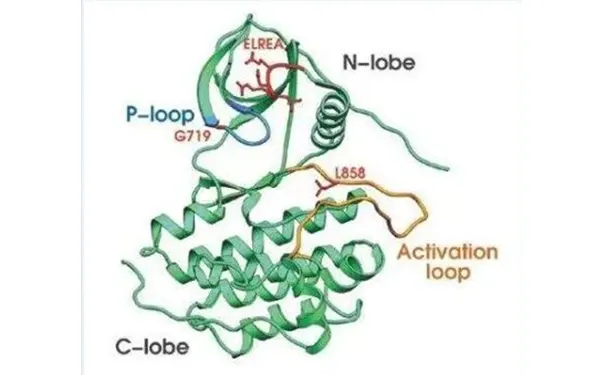 杭州博养压疮治疗中心 杭州博养压疮治疗中心