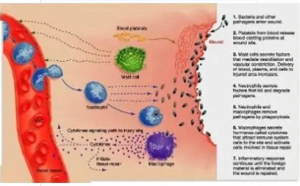 杭州博养压疮治疗中心 杭州博养压疮治疗中心