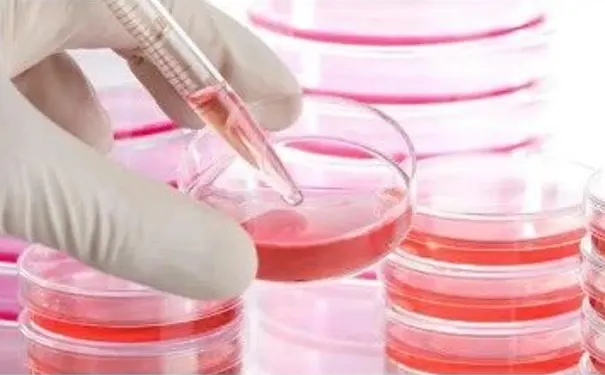 杭州博养压疮治疗中心