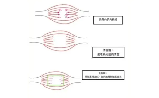 杭州博养压疮治疗中心 杭州博养压疮治疗中心
