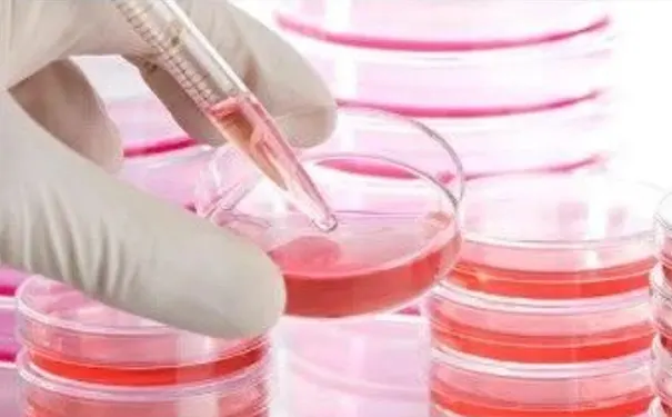 杭州博养压疮治疗中心