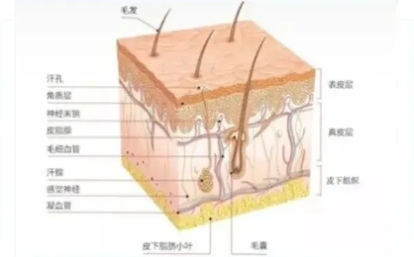 杭州博养压疮治疗中心 杭州博养压疮治疗中心