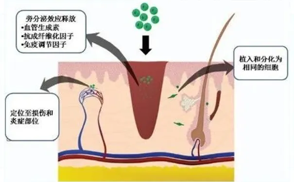 杭州博养压疮治疗中心 杭州博养压疮治疗中心
