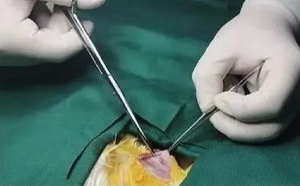 杭州博养压疮治疗中心