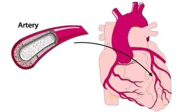 杭州博养压疮治疗中心