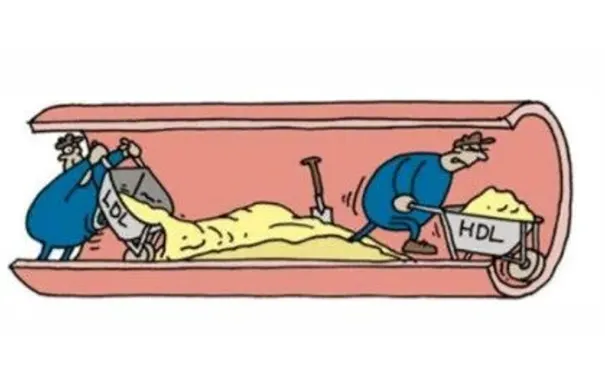 杭州博养压疮治疗中心