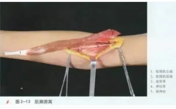 杭州博养压疮治疗中心 杭州博养压疮治疗中心