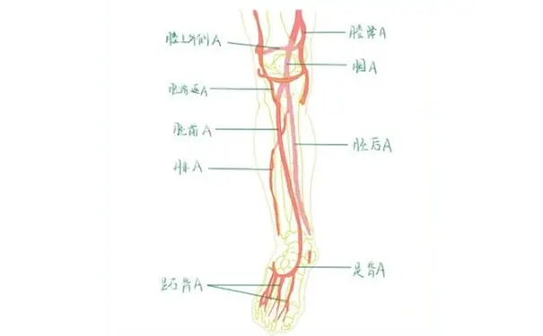 杭州博养压疮治疗中心