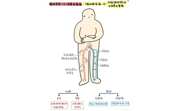 杭州博养压疮治疗中心