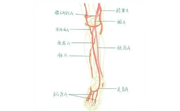 杭州博养压疮治疗中心