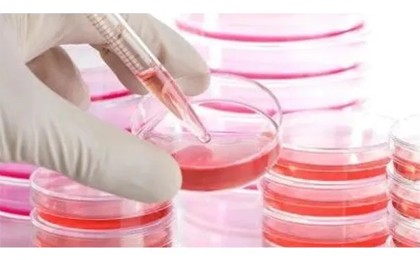 杭州博养压疮治疗中心